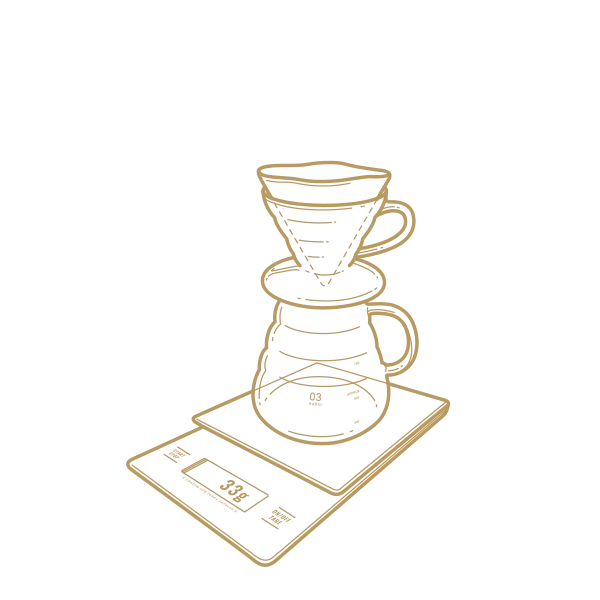 Hario V60 Brew Guide