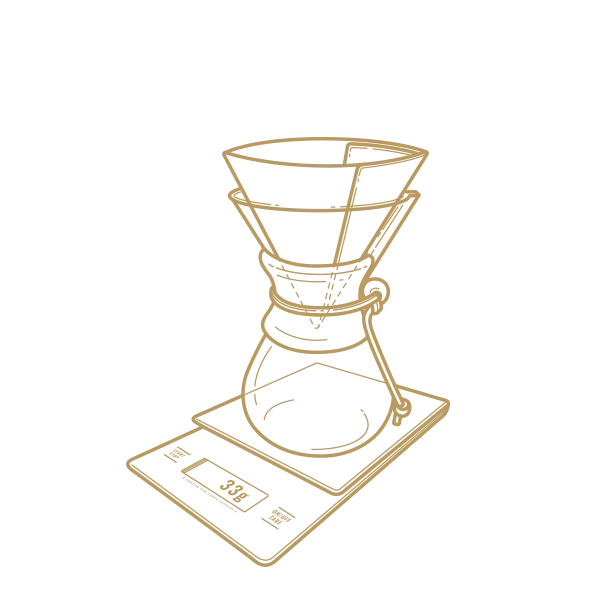 Chemex Brew Guide