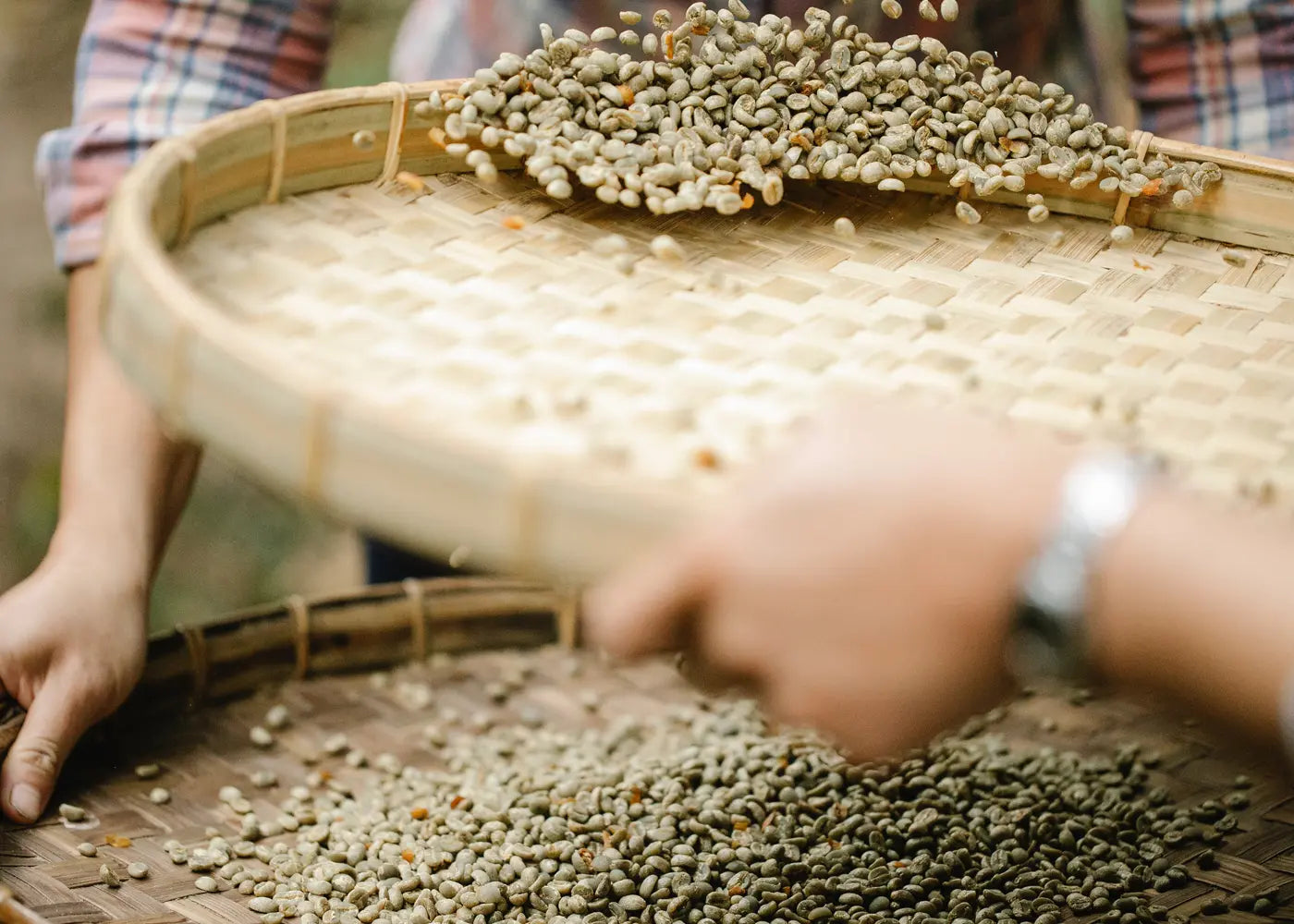 C–PRICE: Explaining the state of the coffee industry and the drivers of rising prices