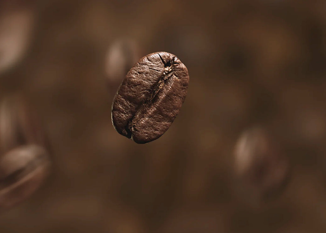 Sivetz Air Roaster